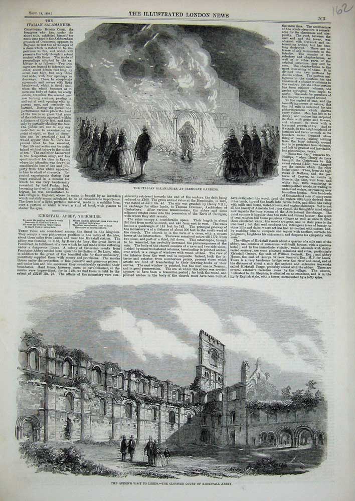 Old Antique Print 1858 Italian Salamander Cremorne Kirkstall Abbey Leeds 19th