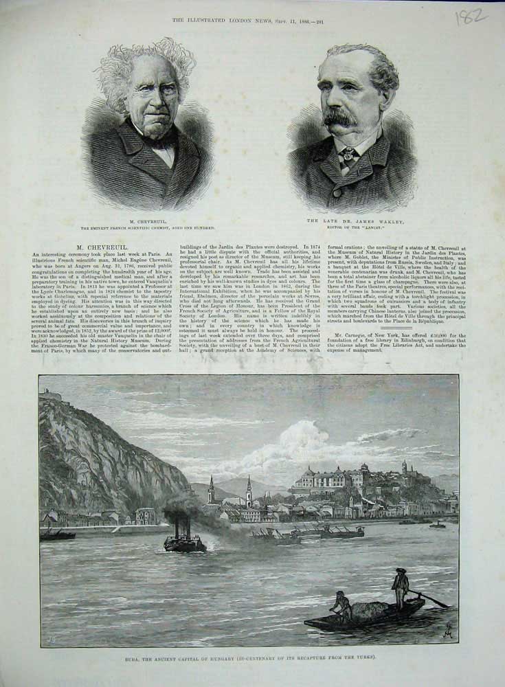 Old Antique Print 1886 James Wakley Chevreuil Chemist Editor Buda Hungary 19th