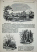 Old Antique Print Strathfieldsay Duke Wellington 1852 Trees River Country 19th