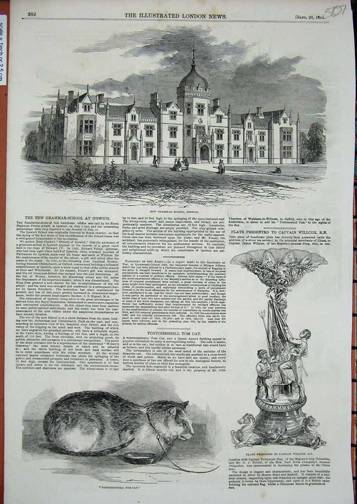 Old Antique Print 1851 Grammar School Ipswich Captain Willcox Plate Cat 19th