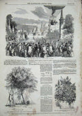 Old Antique Print 1850 Nassau Balloon Vauxhall Gardens Strawberry Plant 19th