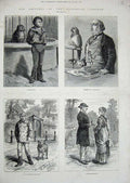 Old Antique Print 1881 Zoological Gardens Parrot Bird Dog Sheep Animals 19th