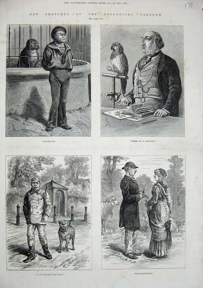 Old Antique Print 1881 Zoological Gardens Parrot Bird Dog Sheep Animals 19th