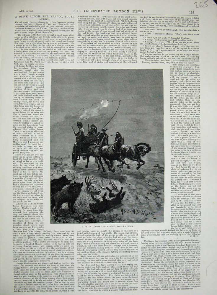 Original Old Antique Print 1889 Horses Drive Across Karroo Africa Hunting Moon