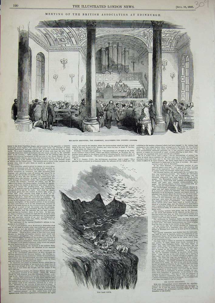 Old Antique Print 1850 David Brewster Edinburgh President Bass Rock Birds 19th