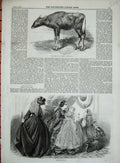 Old Antique Print 1859 Gaour Calf Ladies Women Fashion Dresses Baby Girl 19th