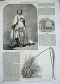 Old Antique Print 1859Post Office Heath Juliet Windsor Castle Yuccoefolia 19th