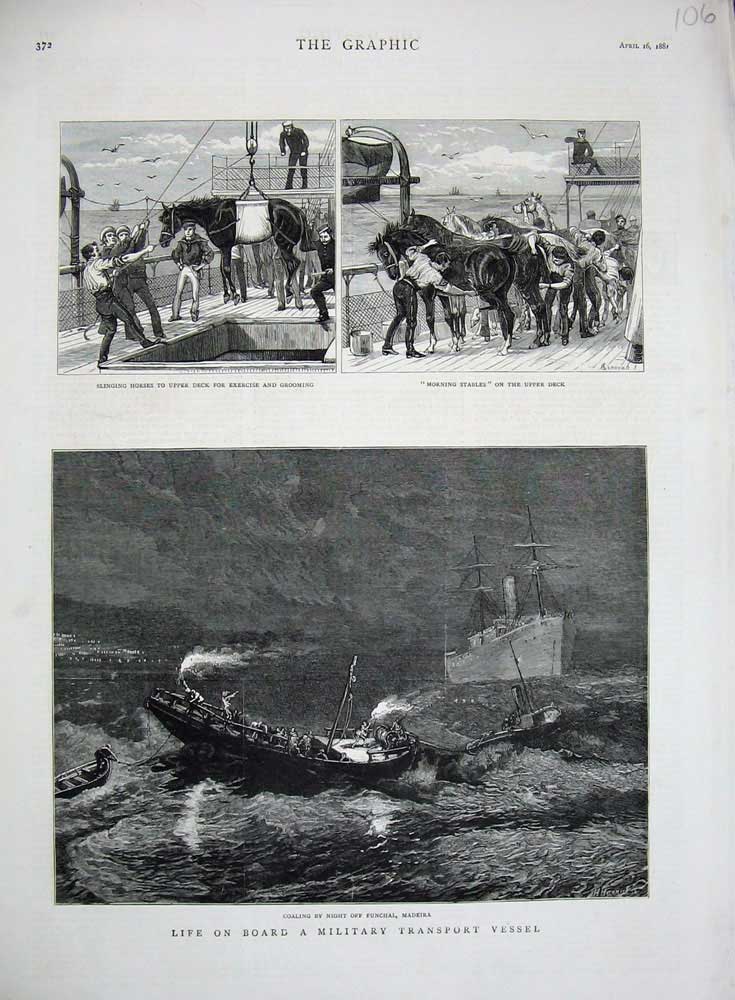 Original Old Antique Print 1881 Military Transport Ship Madeira Funchai Horses