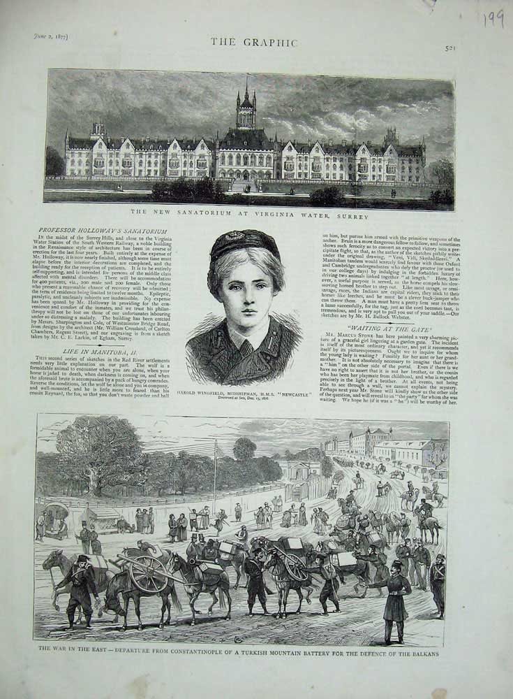 Original Old Antique Print 1877 Sanatorium Virginia Surrey War Constantinople