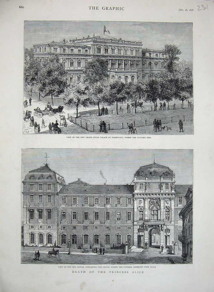 Old Antique Print 1878 Princess Alice Death Ducal Palace Darmstadt Castle 19th