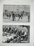 Old Antique Print 1887 Parliament Speaker Thoroughbred Stallions Horses 19th