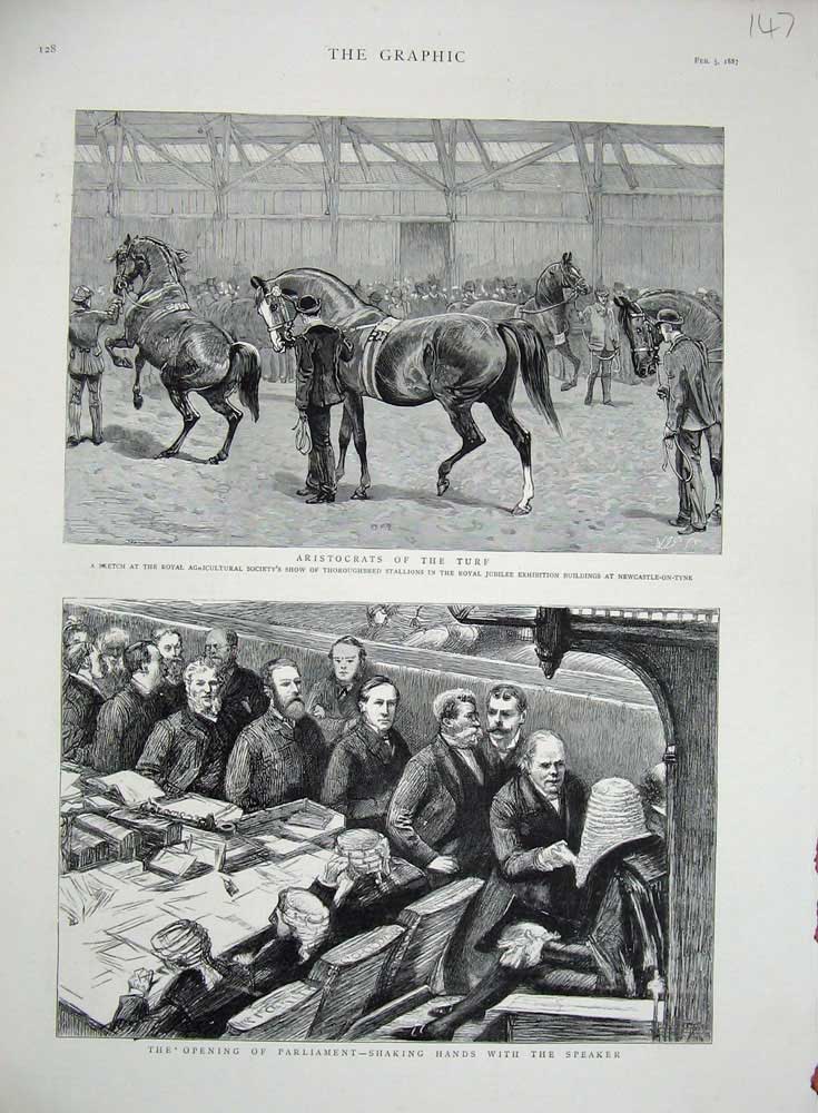 Old Antique Print 1887 Parliament Speaker Thoroughbred Stallions Horses 19th