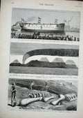 Old Antique Print 1878 Ship Corvette Comus Mount Hecla Volcano Colorado 19th