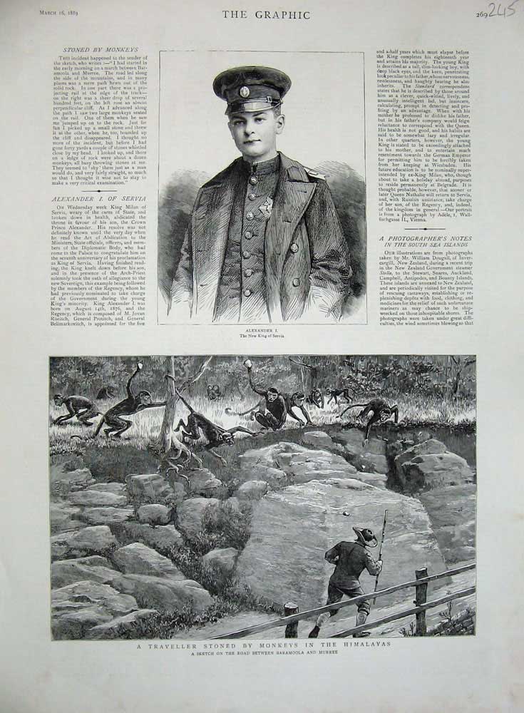 Original Old Antique Print 1889 King Alexander Servia Himalayas Monkeys Murree