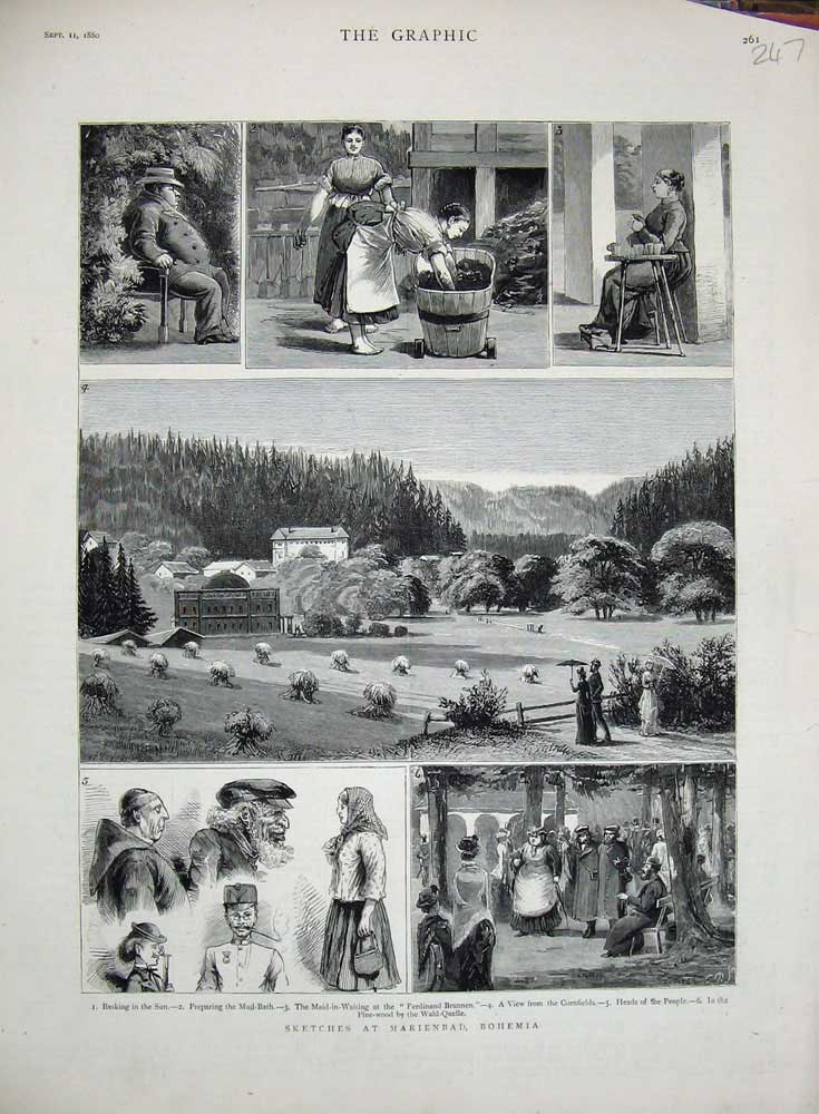 Original Old Antique Print 1880 Marienbad Bohemia Ferdinand Brunnen Wald-Quelle
