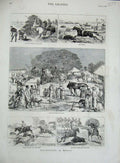Original Old Antique Print 1878 Hog Hunting Bengal Sport Horses Camp Country