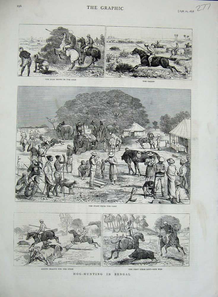 Original Old Antique Print 1878 Hog Hunting Bengal Sport Horses Camp Country