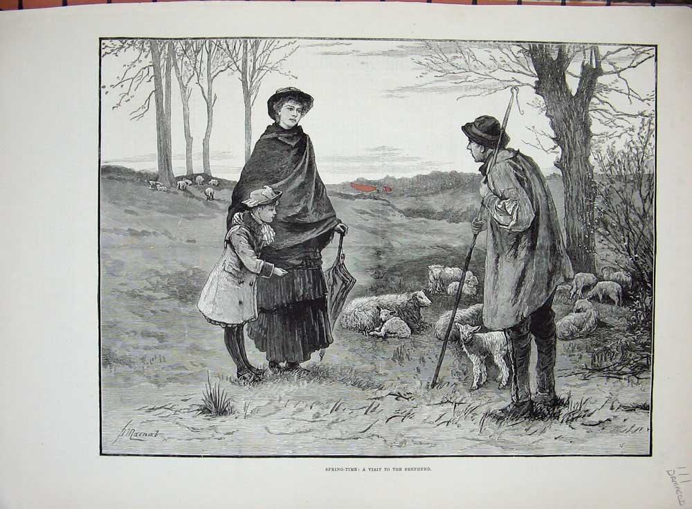 Original Old Antique Print 1883 Damaged Spring Country Shepherd Sheep Man 19th