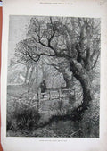 Old Antique Print Autumn Leaves 1880 Country Man Bridge Stream Fine Art 19th
