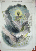 Original Old Antique Print 1849 Colour Saint Davids Day Harp King Crown 19th