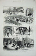 Original Old Antique Print 1880 Royal Buckhounds Kennels Ascot Horses Hunting