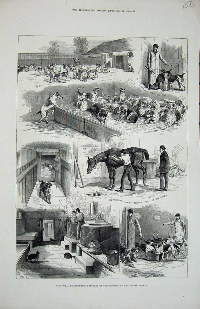 Original Old Antique Print 1880 Royal Buckhounds Kennels Ascot Horses Hunting