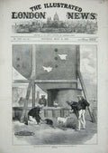Old Antique Print 1872 Turret H.M.S Glatton Navy Sailors Goat Rabbit Hen 19th