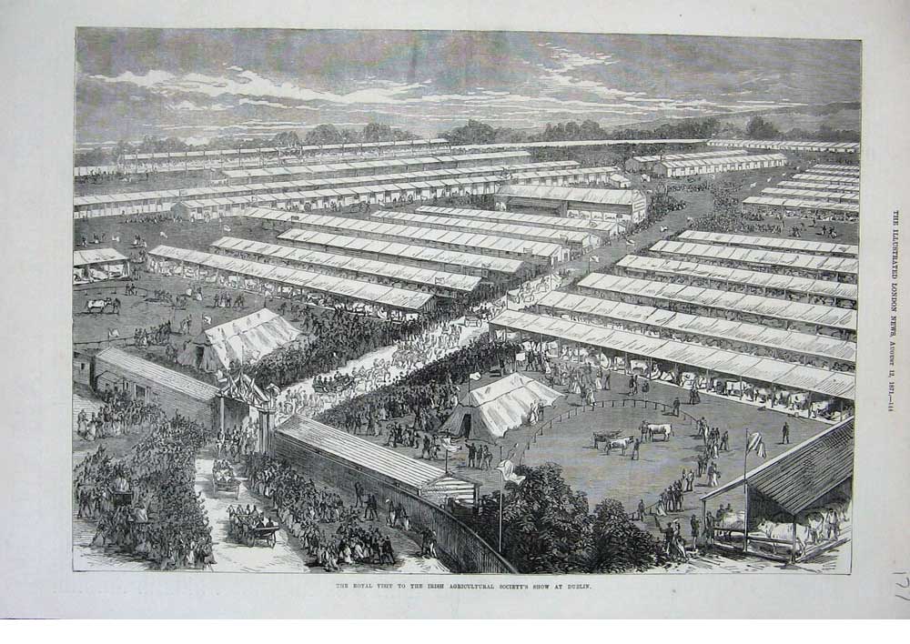 Old Antique Print Royal Visit Irish Agricultural Show Dublin Animals 1871 19th