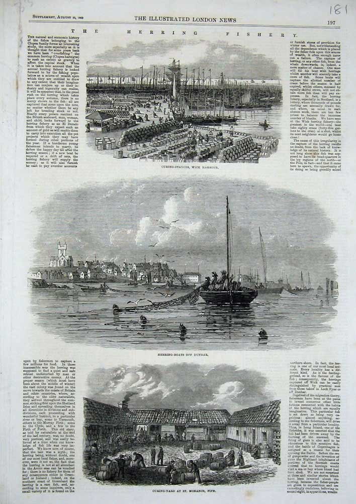 Original Old Antique Print 1863 Herring Fishery Boats Monance Fife Wick Harbour