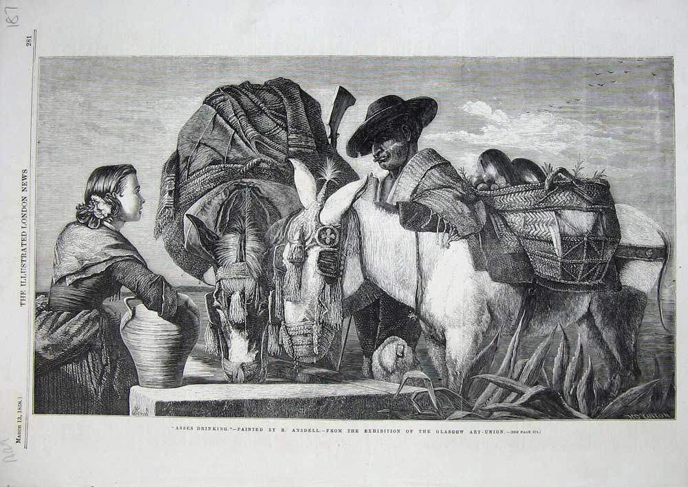 Old Antique Print Art 1858 Asses Drinking Donkeys Water Ansdell Glasgow 19th