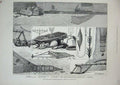 Old Antique Print Fisheries Exhibition 1883 Fishing Gear Nets Lobster Pot 19th