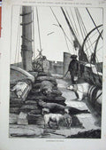 Original Old Antique Print Quarter-Deck Pandora Ship Arctic Polar Regions 1875