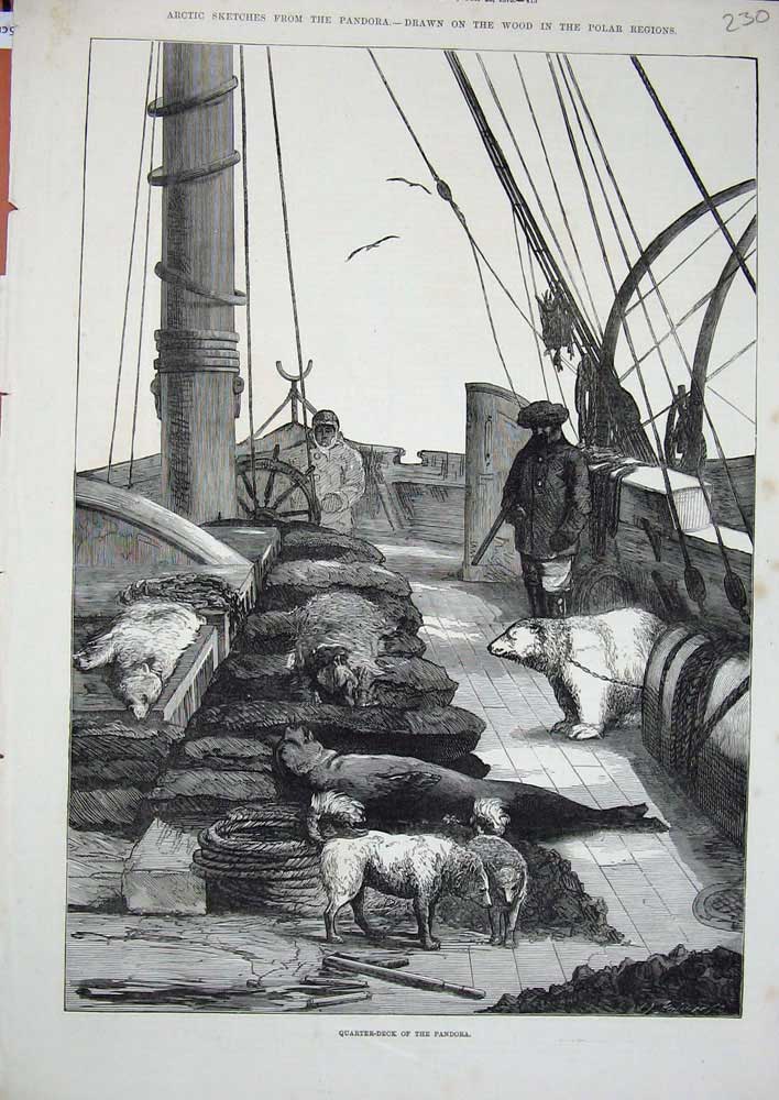 Original Old Antique Print Quarter-Deck Pandora Ship Arctic Polar Regions 1875