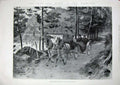 Old Antique Print 1901 King Queen Mar Lodge Scotland River Dee Carriage 20th