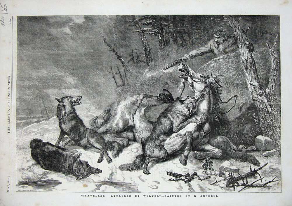 Old Antique Print 1854 Scene Traveller Attacked Wolves Horse Man Shooting 19th