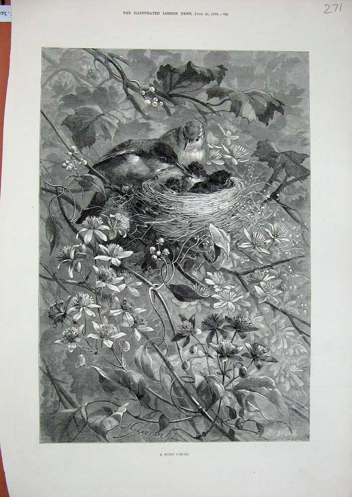 Original Old Antique Print 1879 Fine Art Trees Birds Nest Flowers Nature Leaves