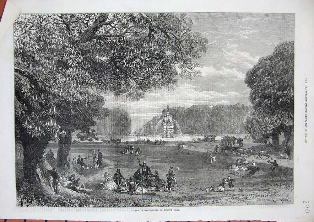 Original Old Antique Print 1871 Chestnut Trees Bushey Park Country Fountain Art