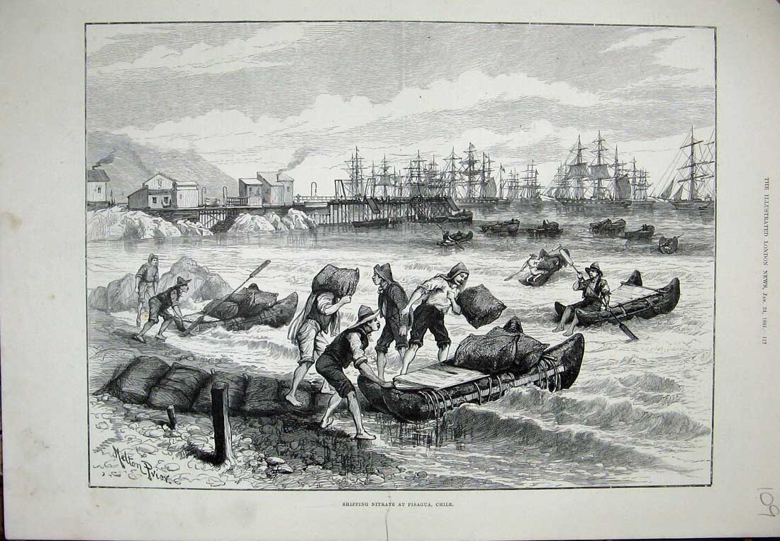 Old Antique Print Shipping Nitrate Pisagua Chile 1891 Boats Ships Prior 19th