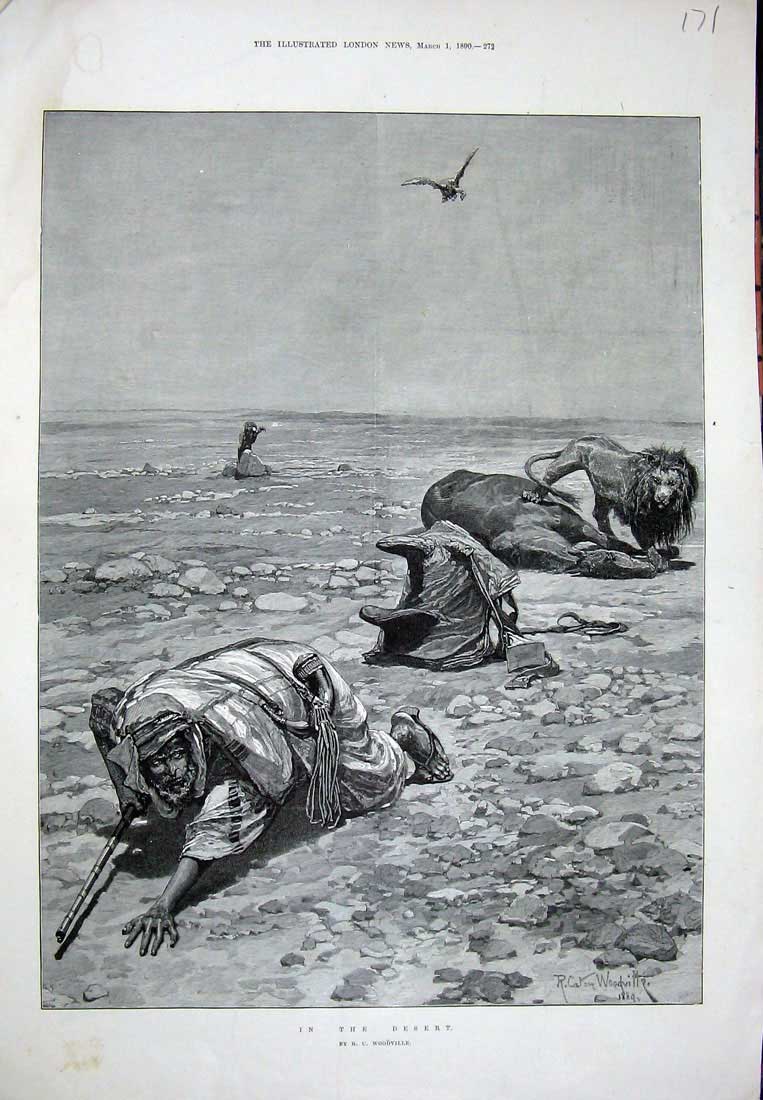 Old Antique Print 1890 Woodville Fine Art Desert Man Weapon Vulture Bird 19th