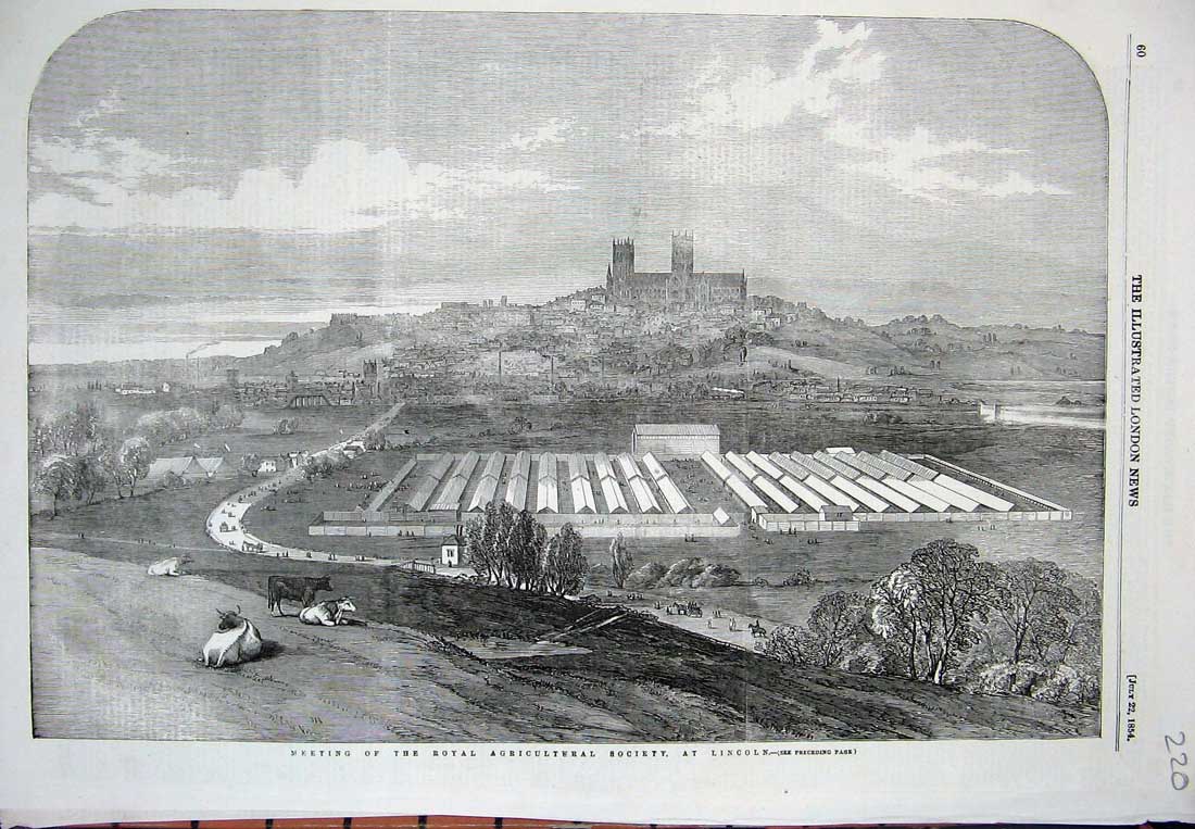 Old Antique Print 1854 Royal Agricultural Society Show Lincoln Fine Art 19th