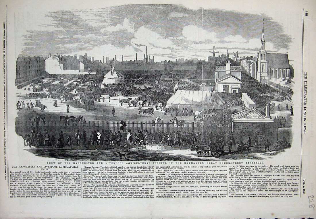 Old Antique Print 1852 Manchester Liverpool Show Haymarket Agricultural 19th