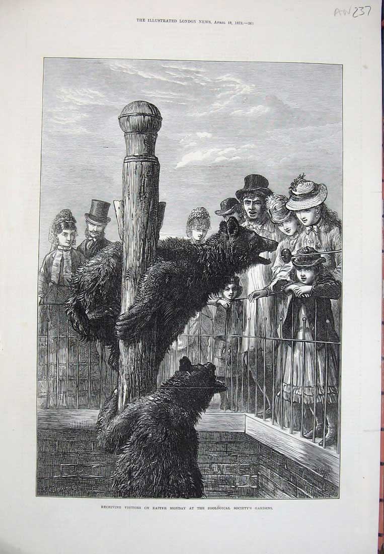 Old Antique Print 1873 Zoological Society Gardens Animals Black Bear Art 19th