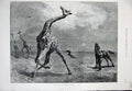 Original Old Antique Print 1884 Animals Fine Art Giraffe Man Shooting Hunting