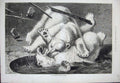 Old Antique Print 1877 Animals Polar Bears Fighting Water-Pool Fine Art 19th