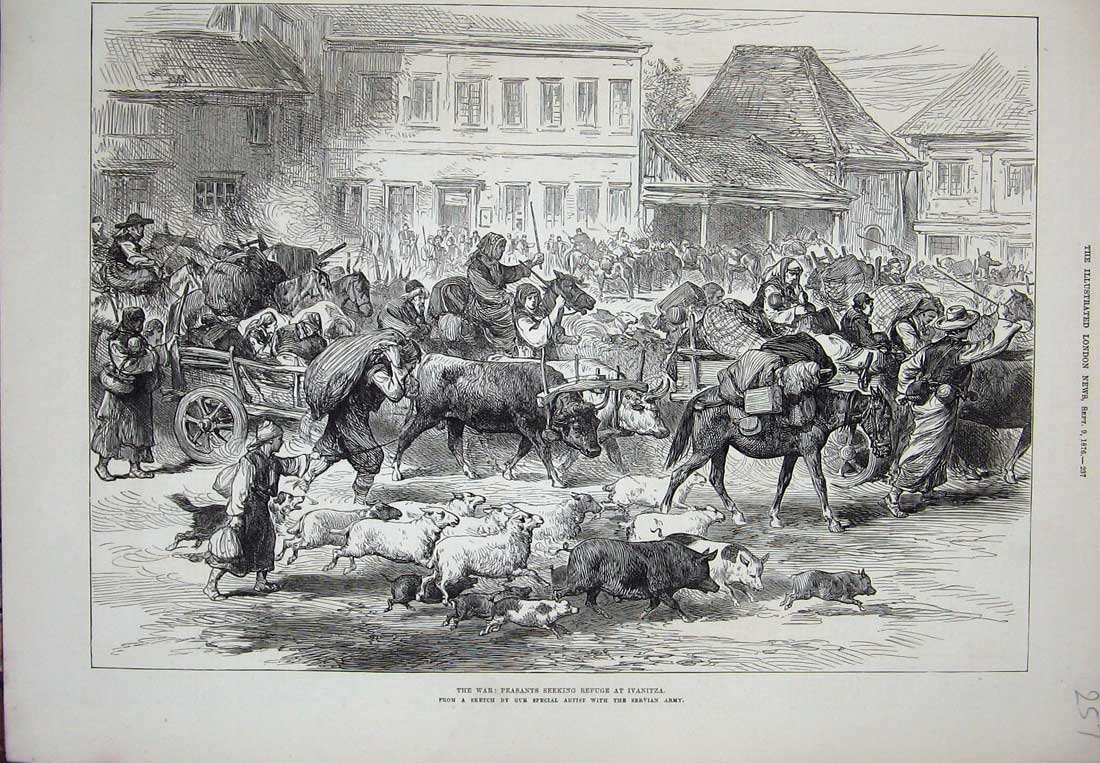 Old Antique Print 1876 War Peasants Refuge Ivanitza Animals People Houses 19th