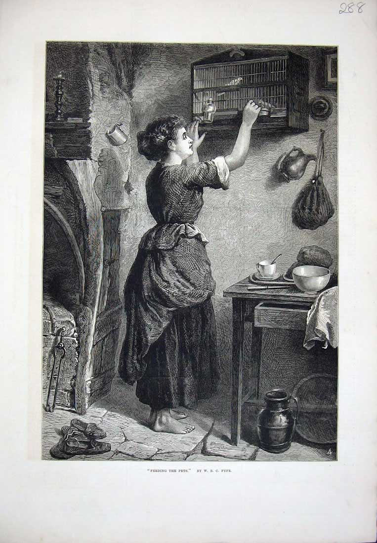 Original Old Antique Print 1876 Barefoot Woman Lady Feeding Pets House Fine Art