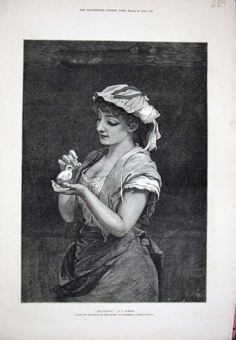 Original Old Antique Print 1878 Portrait Orphan Lady Bird Woman Parker Art 19th