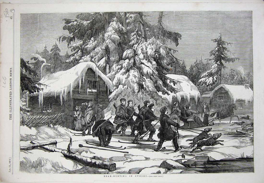 Old Antique Print Bear Hunting Sweden Sport 1856 Snow Skis Dogs Animals 19th