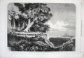 Old Antique Print 1863 Kabar Council War Madagascar Natives Ships Trees 19th