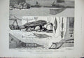 Old Antique Print Fisheries Exhibition 1883 Fishing Net Lobster Pots Bait 19th